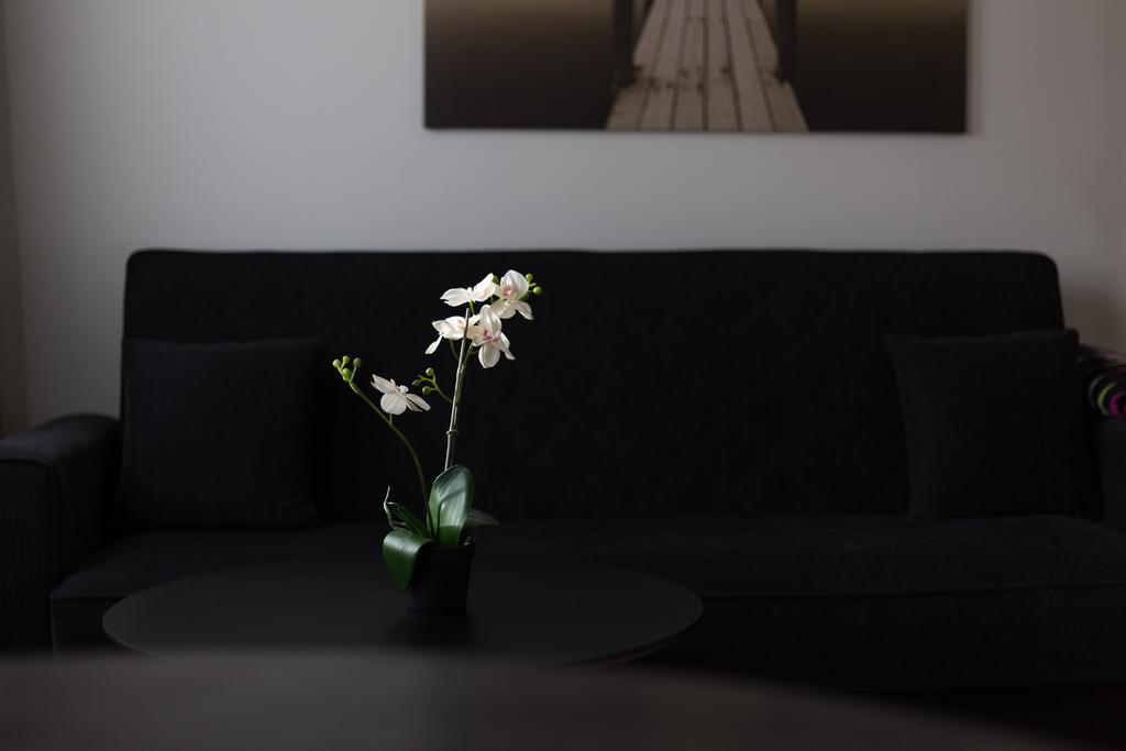 Kerno Apartments Reykjavík Rum bild